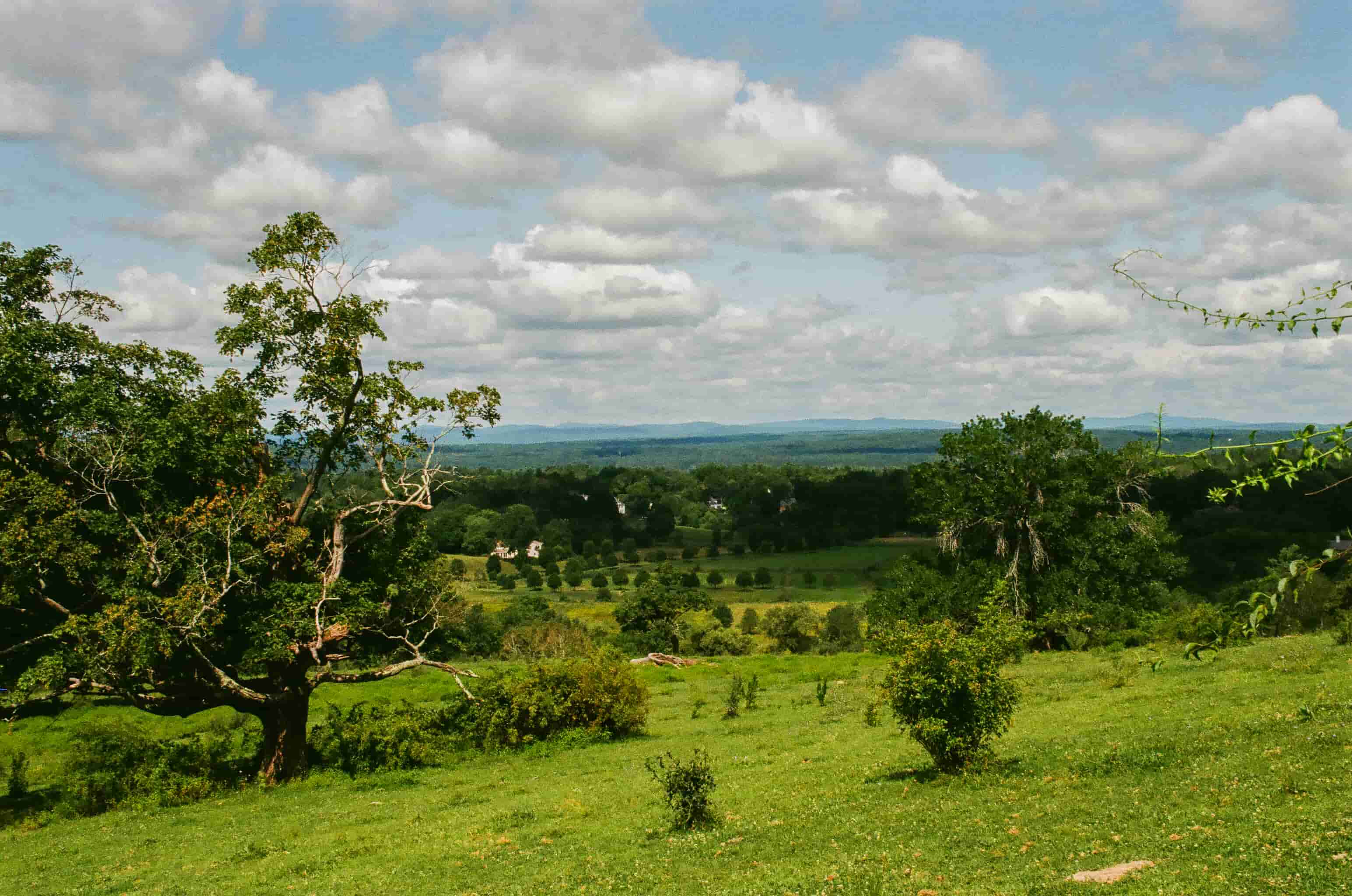 View from a hill